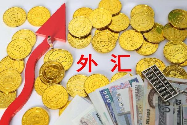 金融中介与外汇 提供金融中介服务的核心角色